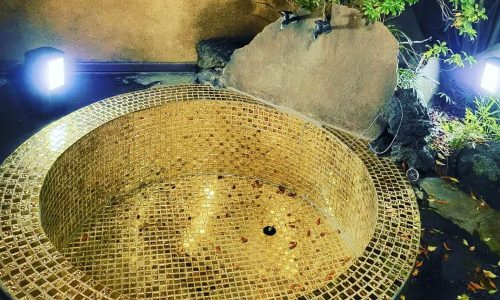 藤棚と露天風呂がリニューアルしました